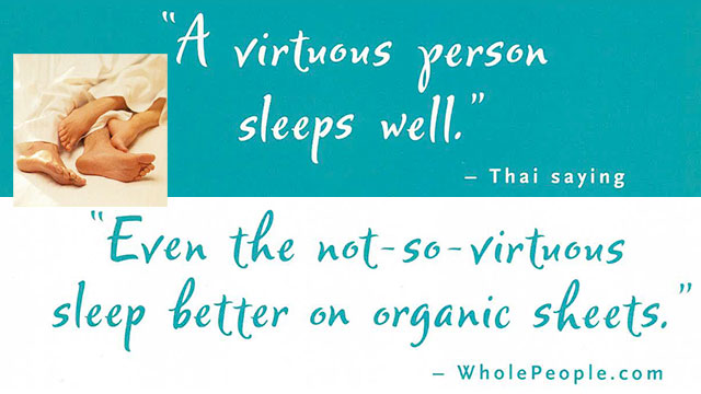 wholepeople thumbnail